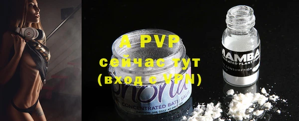 гидра Рославль