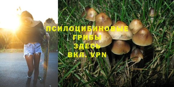 тгк Алексеевка