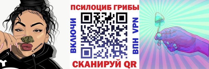 Галлюциногенные грибы Psilocybine cubensis  Кореновск 