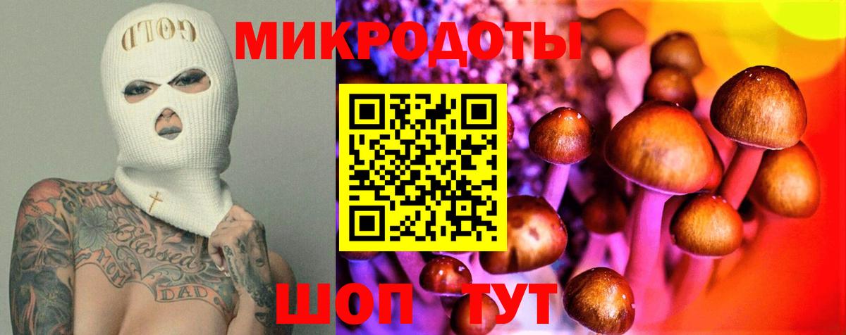 Галлюциногенные грибы Psilocybe  Вход с VPN  цена наркотик  Кореновск 