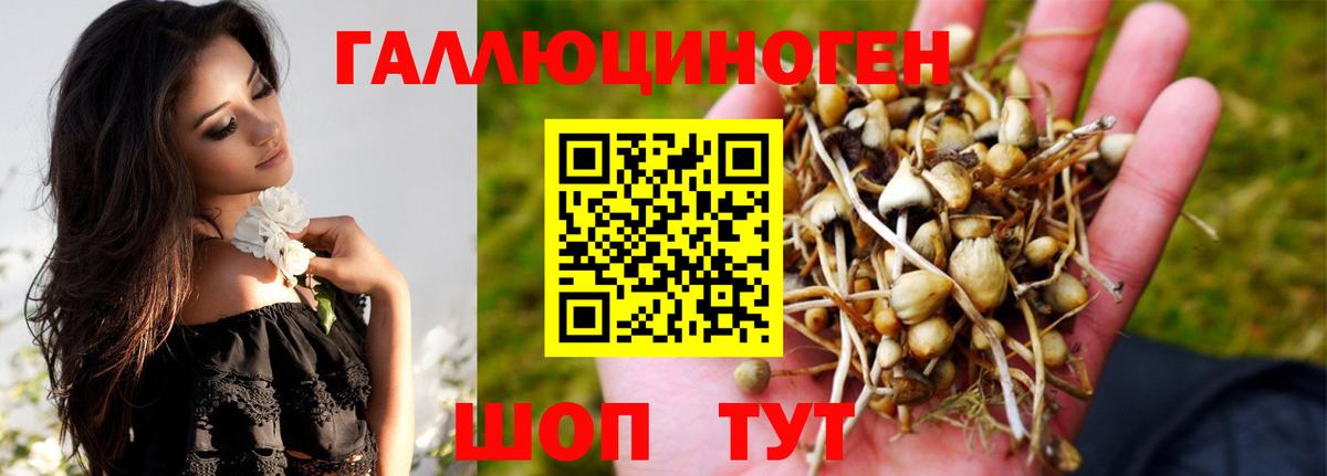 Галлюциногенные грибы GOLDEN TEACHER Кореновск